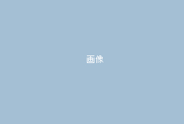 テストデータ